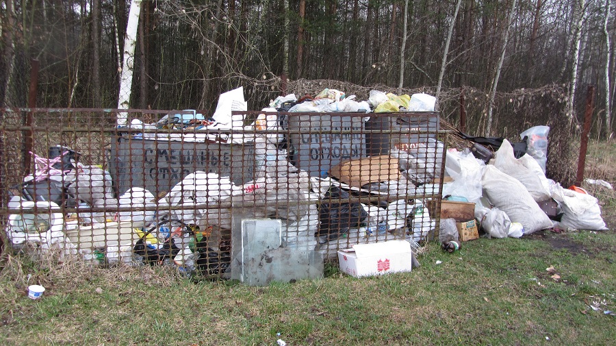 Главный недостаток — несвоевременный вывоз мусора
