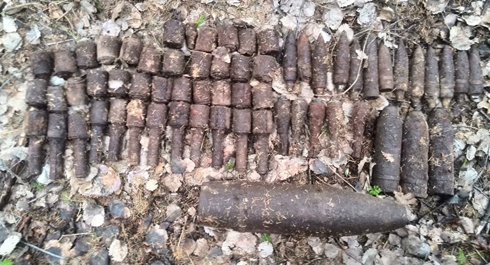 Артиллерийские снаряды, гранаты и взрыватели времен войны обнаружены в Бобруйском районе