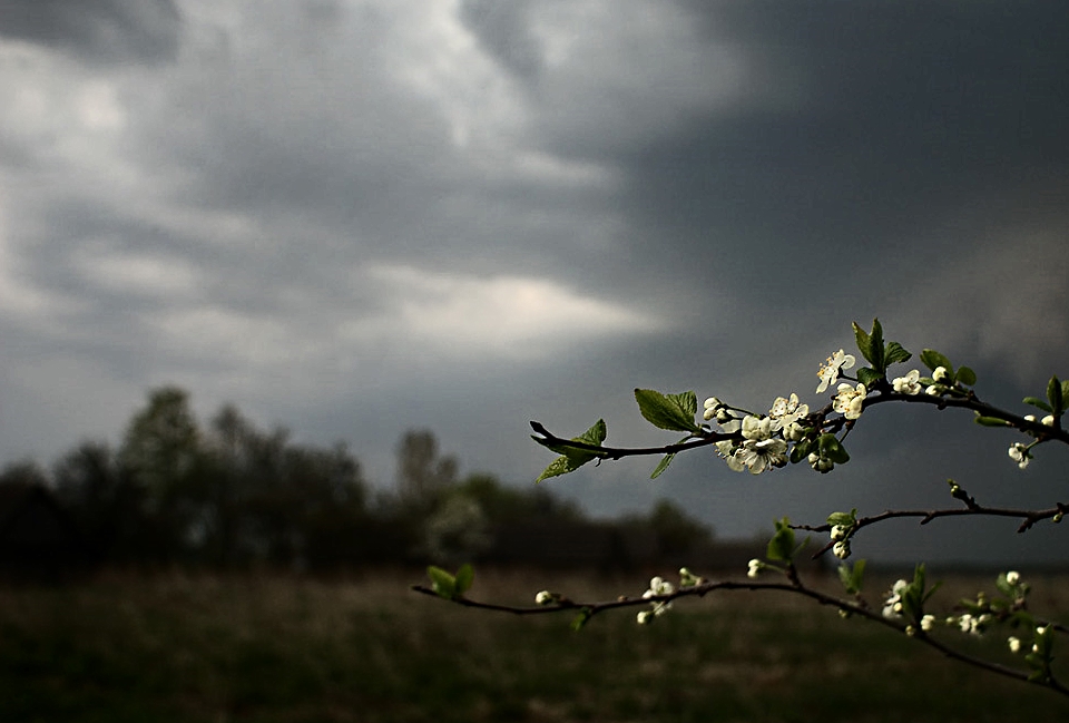 Первую весеннюю грозу и порывистый ветер прогнозирует облгидромет 6 апреля