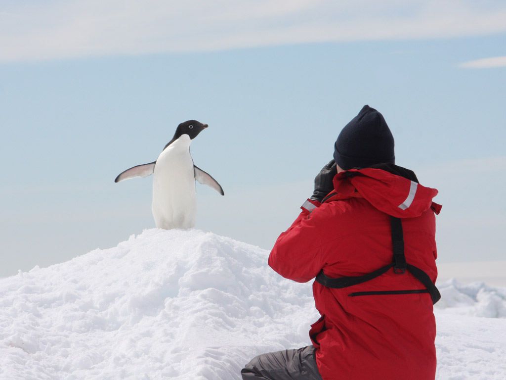 Беларусь и Китай продолжат научное сотрудничество в исследовании Антарктики