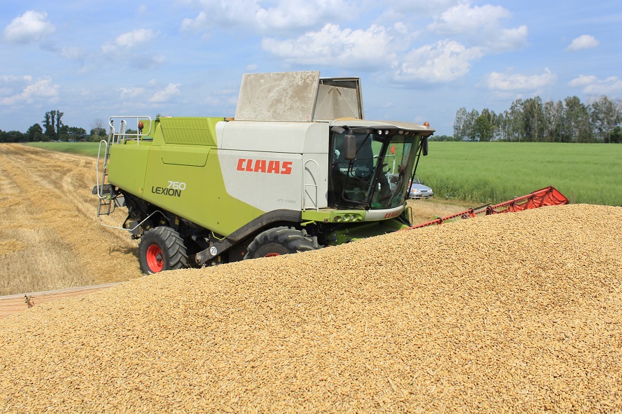 Белорусские аграрии намолотили более 3 млн. тонн зерна