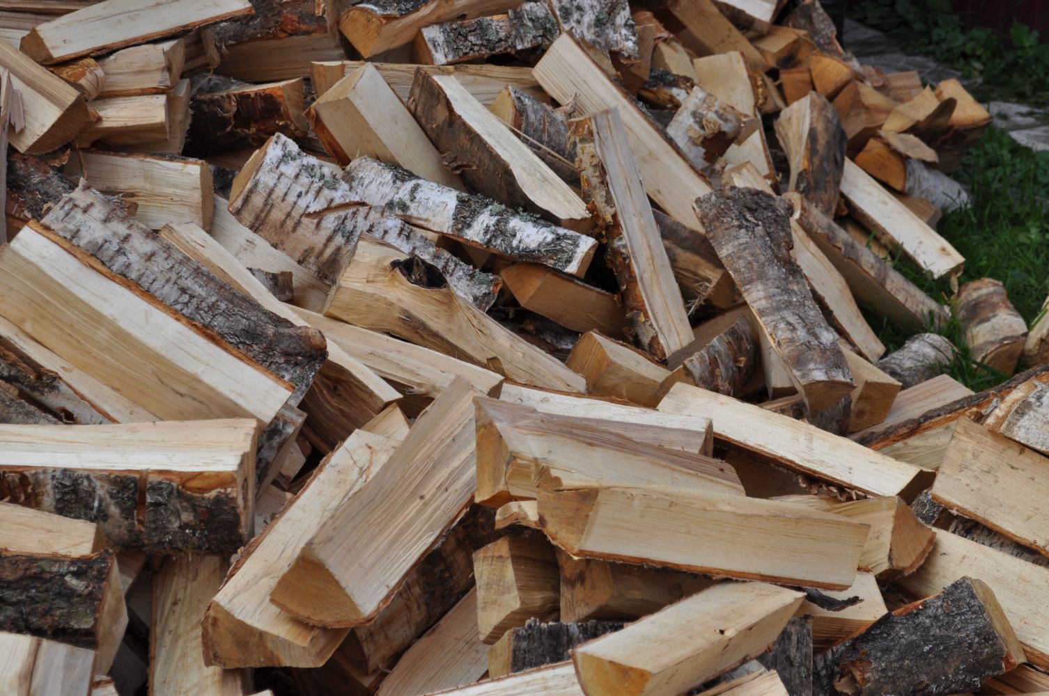 Заготавливать древесину — по закону