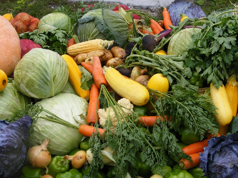 Урожайность овощей в Беларуси на 12% выше прошлогодней