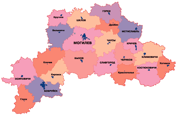 В Могилевской области отмечается низкая активность политических партий на первых этапах местных выборов