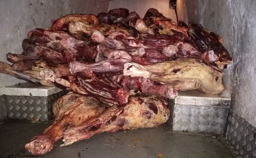 Под Слободкой сотрудники Госавтоинспекции задержали более 2 тонн говяжьих туш