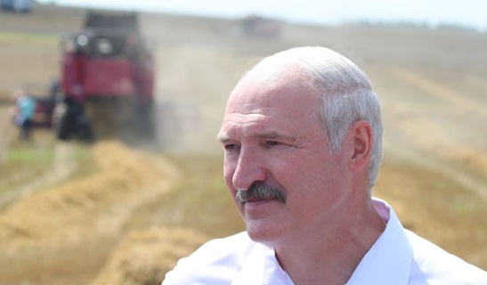 Лукашенко ждет от аграриев максимум напряжения во время уборочной