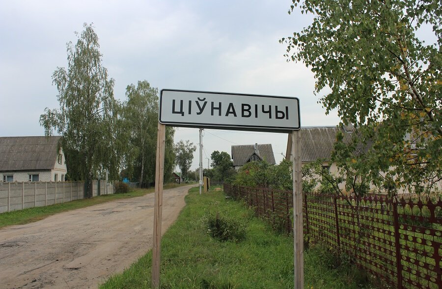 Тивновичи: тиуны, сыр и «щедрики»