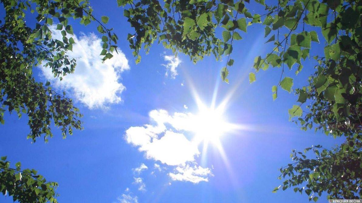 Теплая сухая погода установится в Беларуси во второй половине недели
