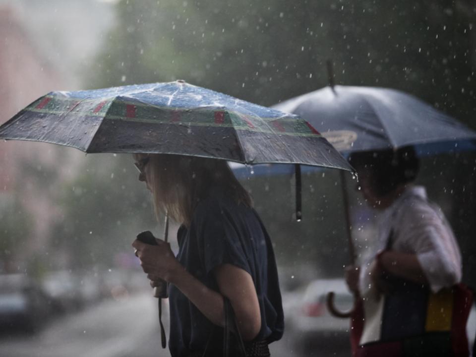 Дожди и грозы ожидаются в Беларуси 12 июля