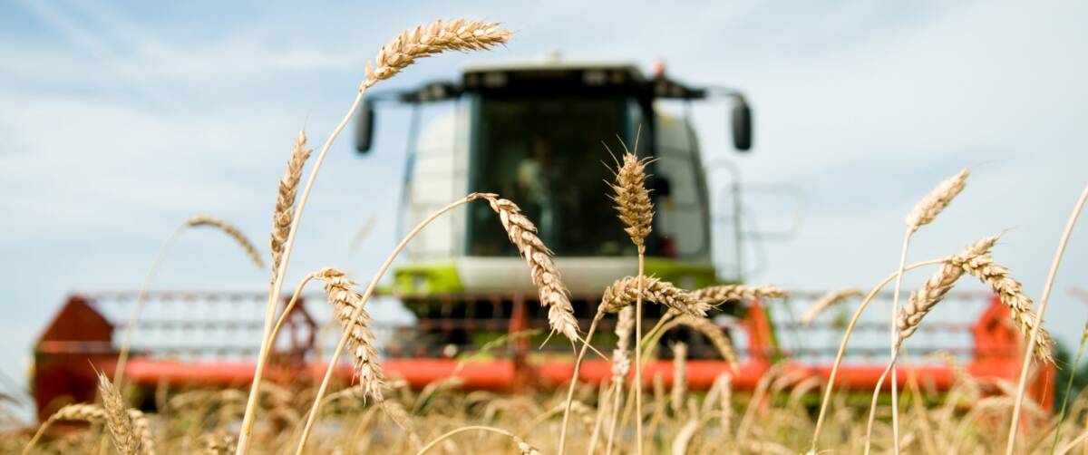 Белорусские аграрии намолотили более 5,7 млн т зерна