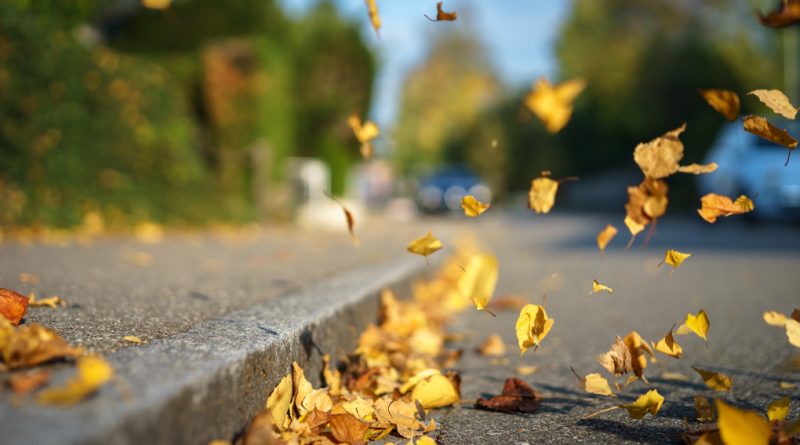 ÐÐ°ÑÑÐ¸Ð½ÐºÐ¸ Ð¿Ð¾ Ð·Ð°Ð¿ÑÐ¾ÑÑ ÐÑÐ°Ð½Ð¶ÐµÐ²ÑÐ¹ ÑÑÐ¾Ð²ÐµÐ½Ñ Ð¾Ð¿Ð°ÑÐ½Ð¾ÑÑÐ¸ Ð¾Ð±ÑÑÐ²Ð»ÐµÐ½ Ð² ÐÐµÐ»Ð°ÑÑÑÐ¸ 12 Ð¾ÐºÑÑÐ±ÑÑ Ð¸Ð·-Ð·Ð° ÑÐ¸Ð»ÑÐ½Ð¾Ð³Ð¾ Ð²ÐµÑÑÐ°