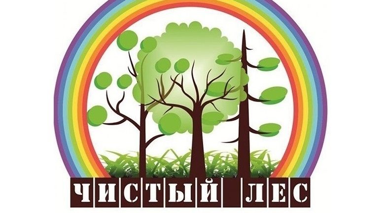 Ежегодная акция «Чистый лес» пройдет 19 октября в Беларуси (+видео) — Трыбуна працы