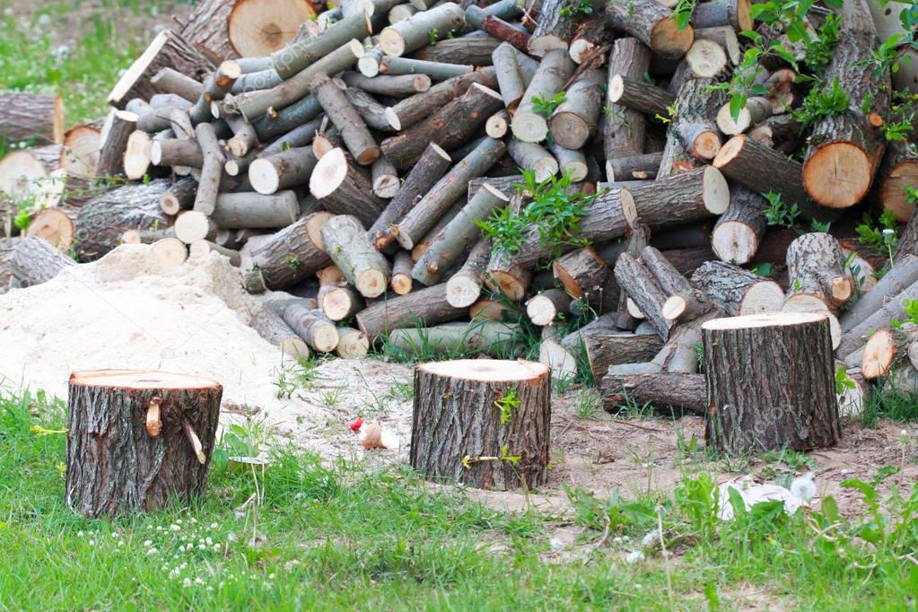 Заготовка дров: правила и ответственность за нарушение законодательства