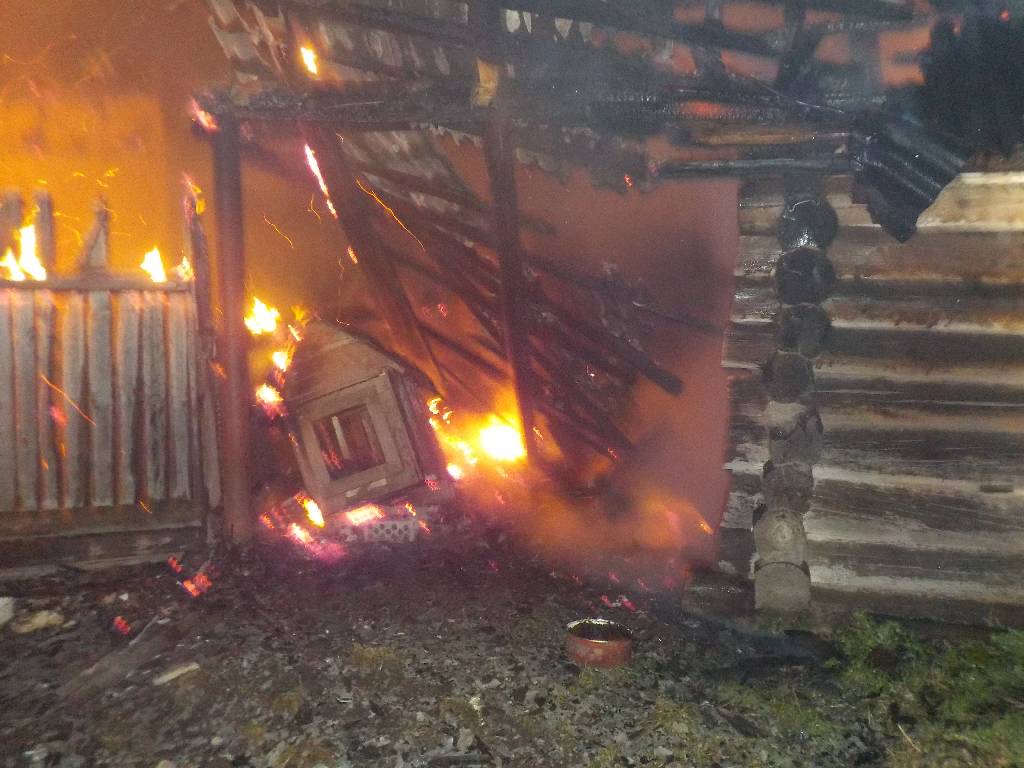 В деревне Сосновая сгорел дом, но спасено три сарая