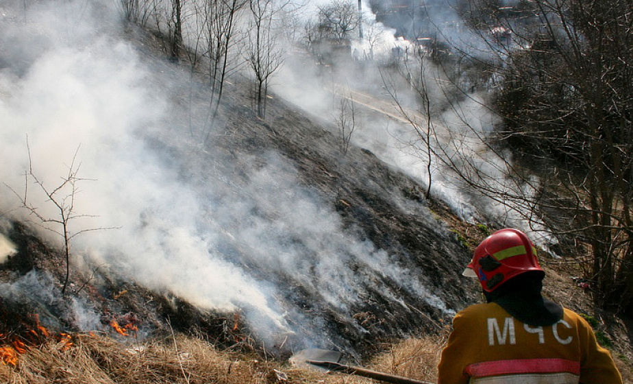 12 природных пожаров произошли за минувшие сутки в Могилевской области. В том числе, в Бобруйском районе