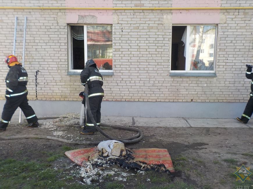 Пенсионера спасли при пожаре в Бобруйском районе