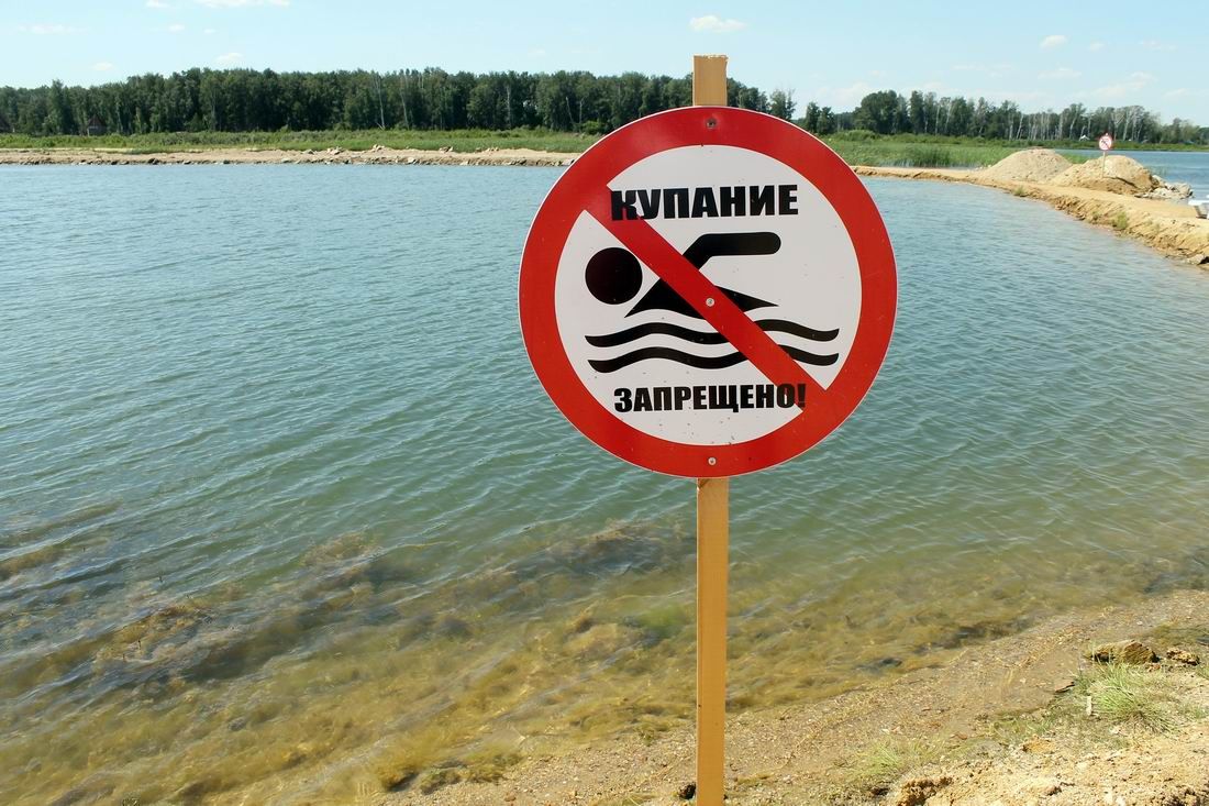 В водоемах Бобруйского района купаться запрещено