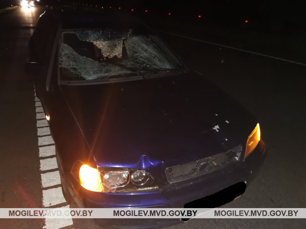В Бобруйском районе Honda съехала в кювет – пострадали три человека