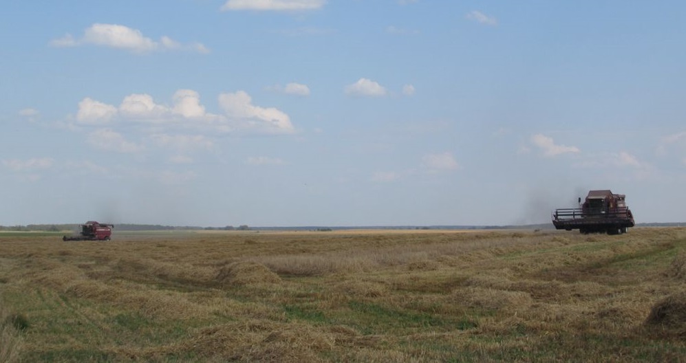 Падзяка за працу на жніве