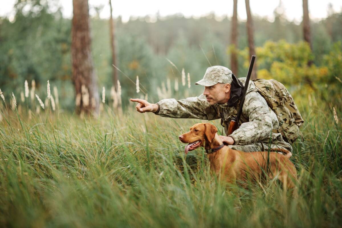 Бобруйская межрайонная инспекция охраны животного и растительного мира:   “Соблюдайте правила безопасности охоты”