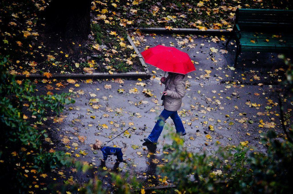 Сильные кратковременные дожди, грозы и снижение температуры воздуха – погода на неделю