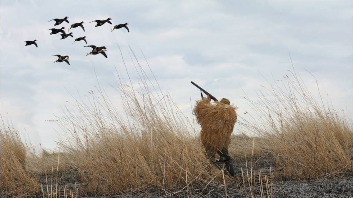 В Беларуси открылся весенний сезон охоты на пернатую дичь