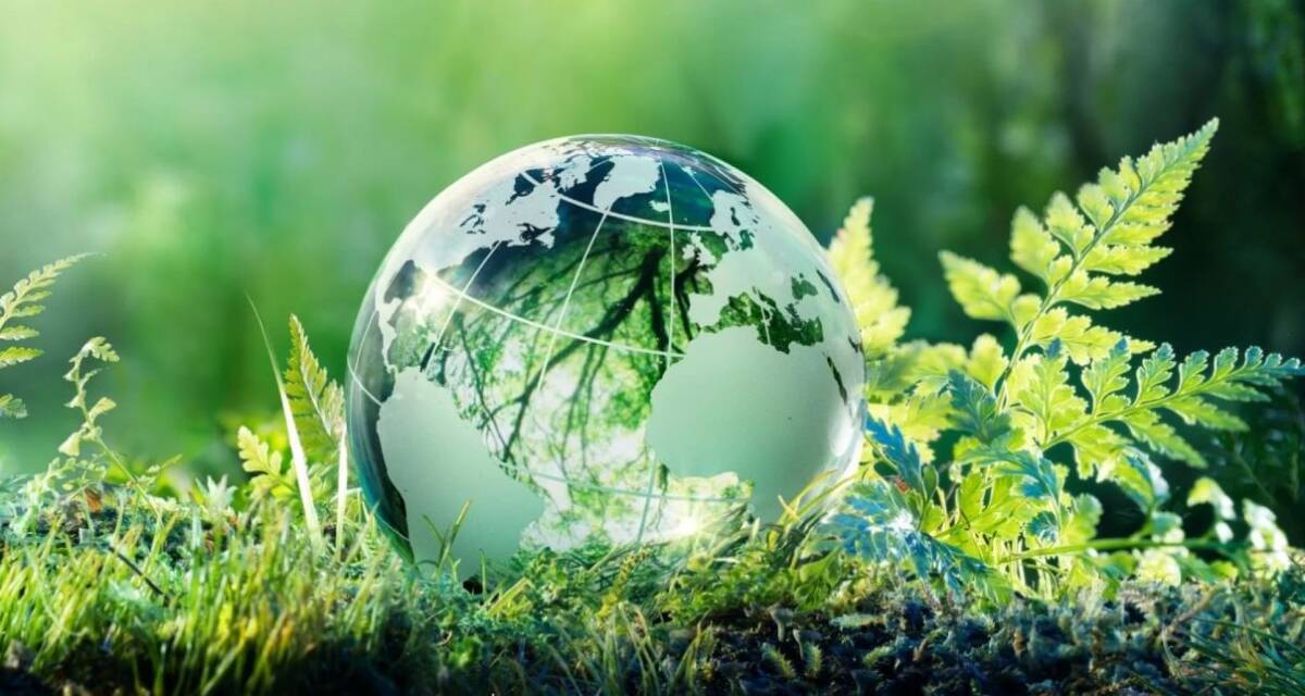 5 июня — Всемирный день охраны окружающей среды