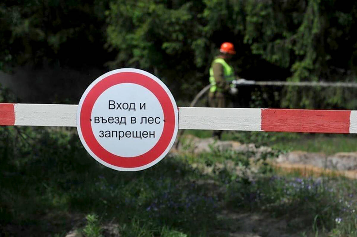 Внимание! В Бобруйском районе введен запрет на посещение лесов