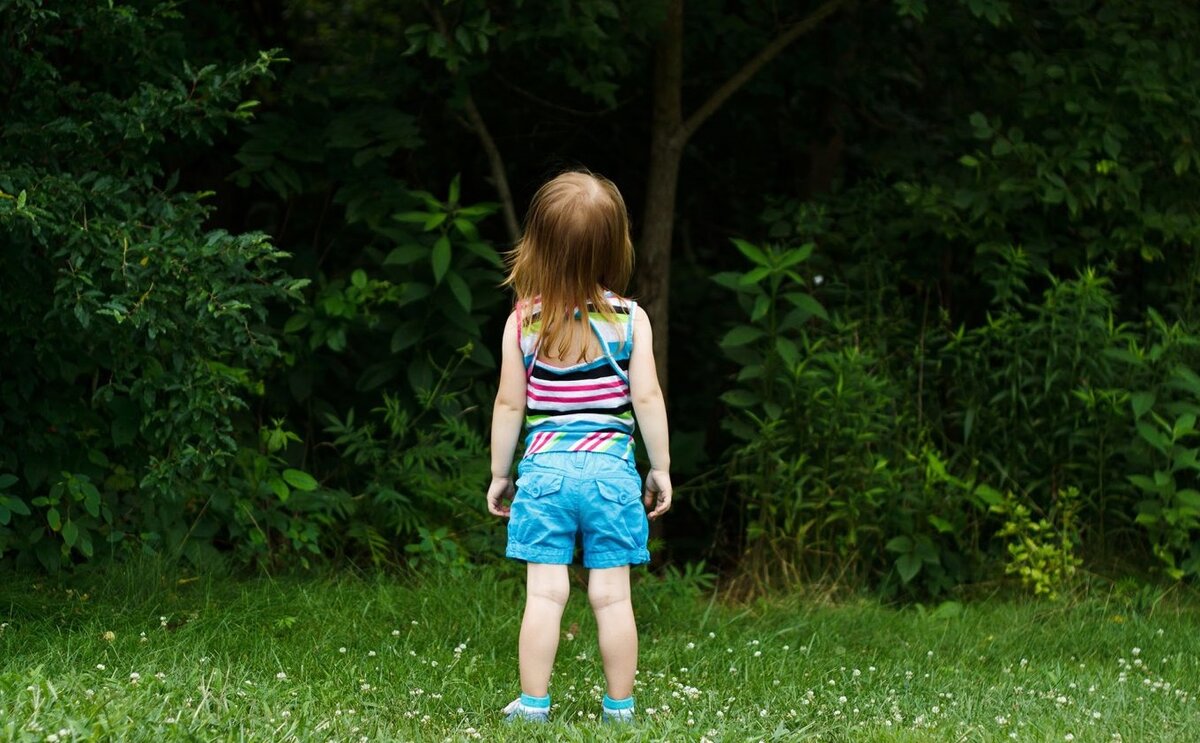 В Бобруйском районе нашли потерявшуюся в лесу трехлетнюю девочку