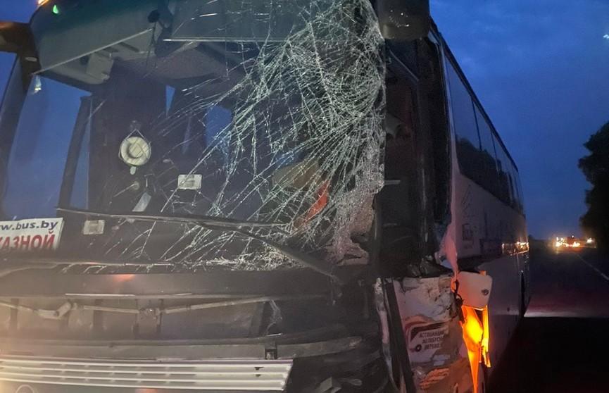 Автобус ФК «Макслайн» врезался в трактор в Бобруйском районе