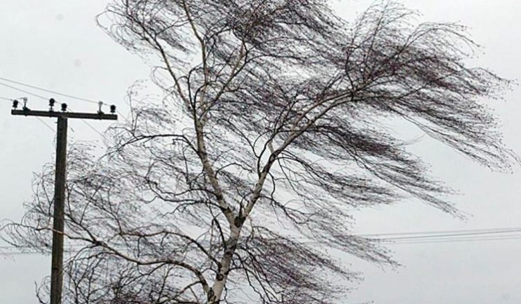 МЧС предупреждает об опасности в связи с усилением ветра