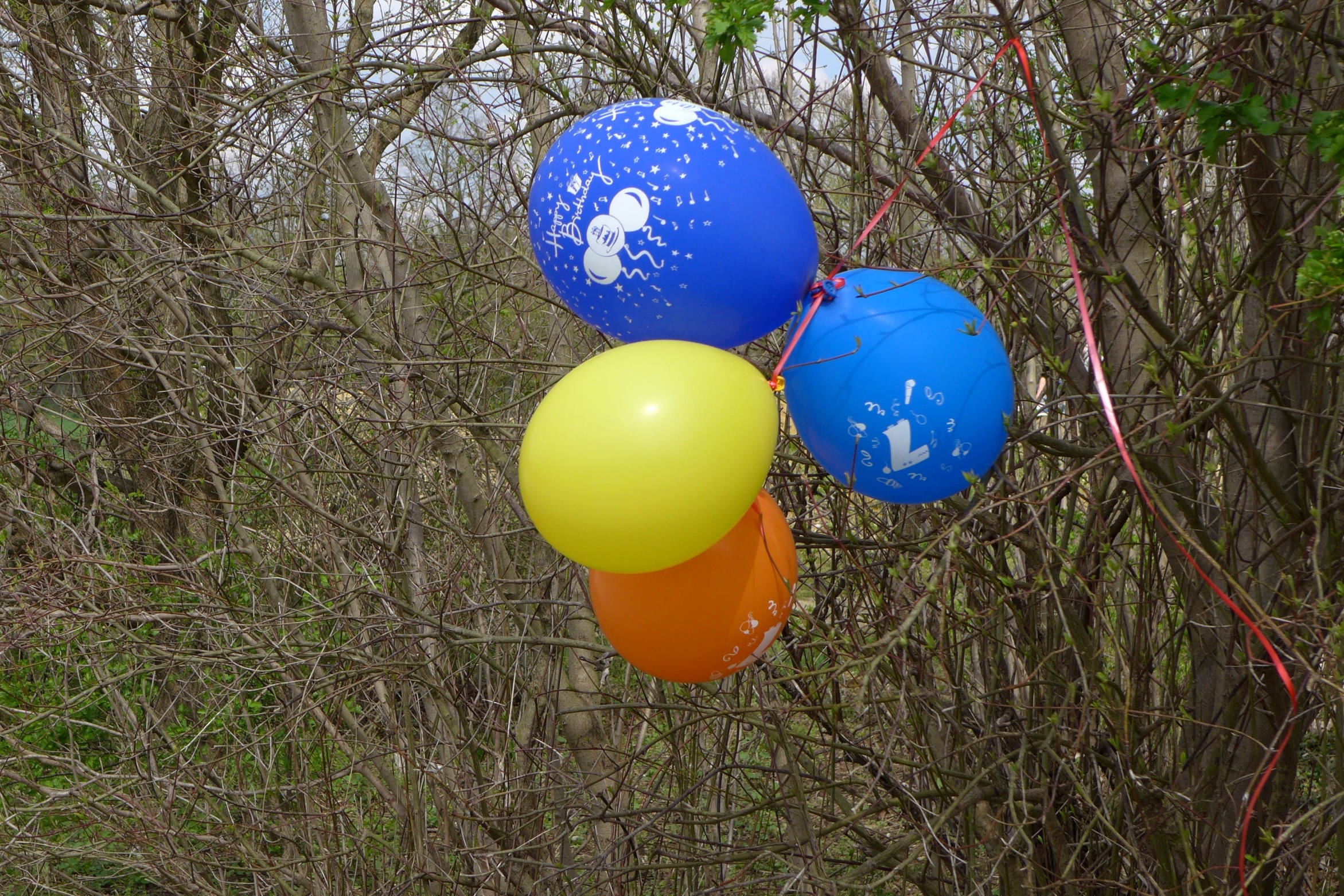 Запуск воздушных шаров — экологическая угроза с воздуха