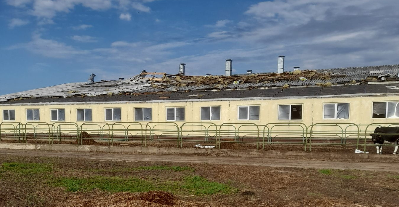 Последствия разгула стихии в Бобруйском районе
