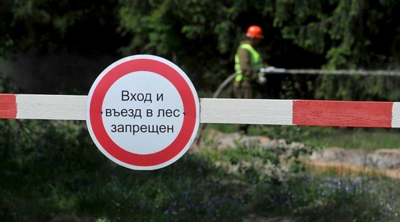 Внимание! В Бобруйском районе введен запрет на посещение лесов