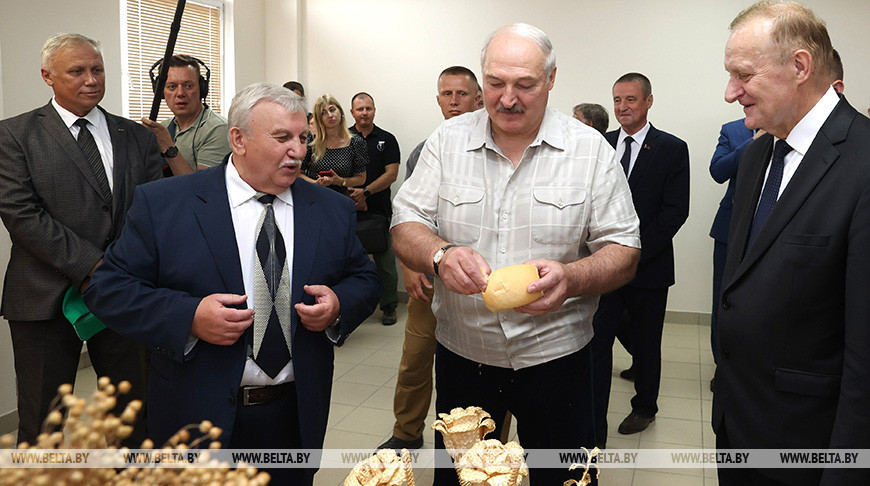 Обеспечит ли Беларусь свою продовольственную безопасность? Лукашенко потребовал включить “полную диктатуру”