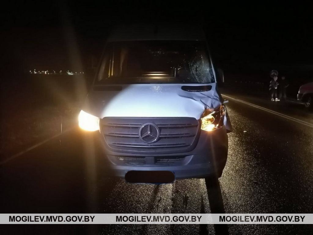 В Бобруйском районе произошел смертельный наезд на пешехода