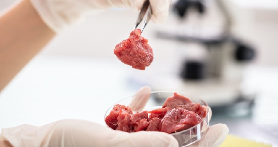 Где можно сделать исследование биологических проб на радиологию и трихинеллез мяса дикого кабана
