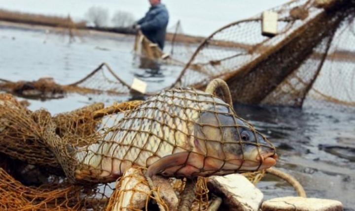 Более 18,9 тысячи рублей составил вред, причиненный природе, браконьером-рыболовом
