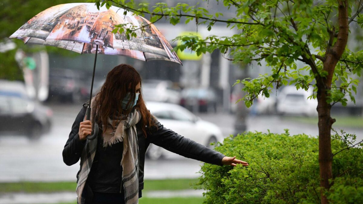 Дожди, грозы и около +20°С ожидается в начале следующей недели в Могилевской области