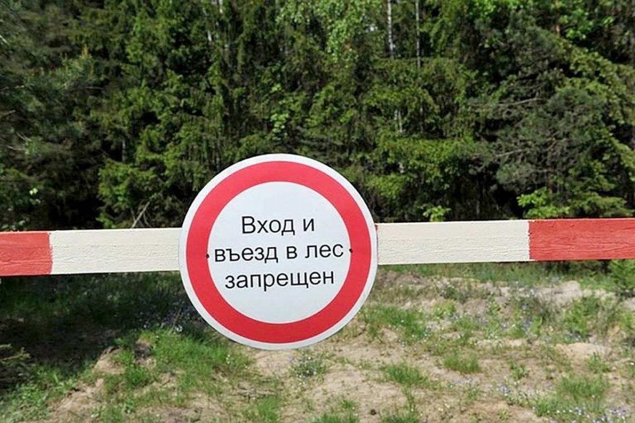 Внимание! В Бобруйском районе  введен запрет на посещение лесов