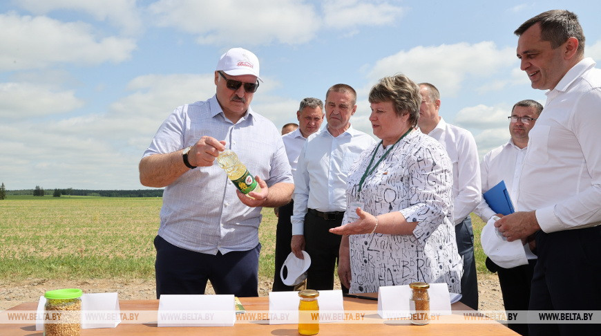 “Это революция будет на селе”. На какую сельхозкультуру Лукашенко сделал верную ставку?