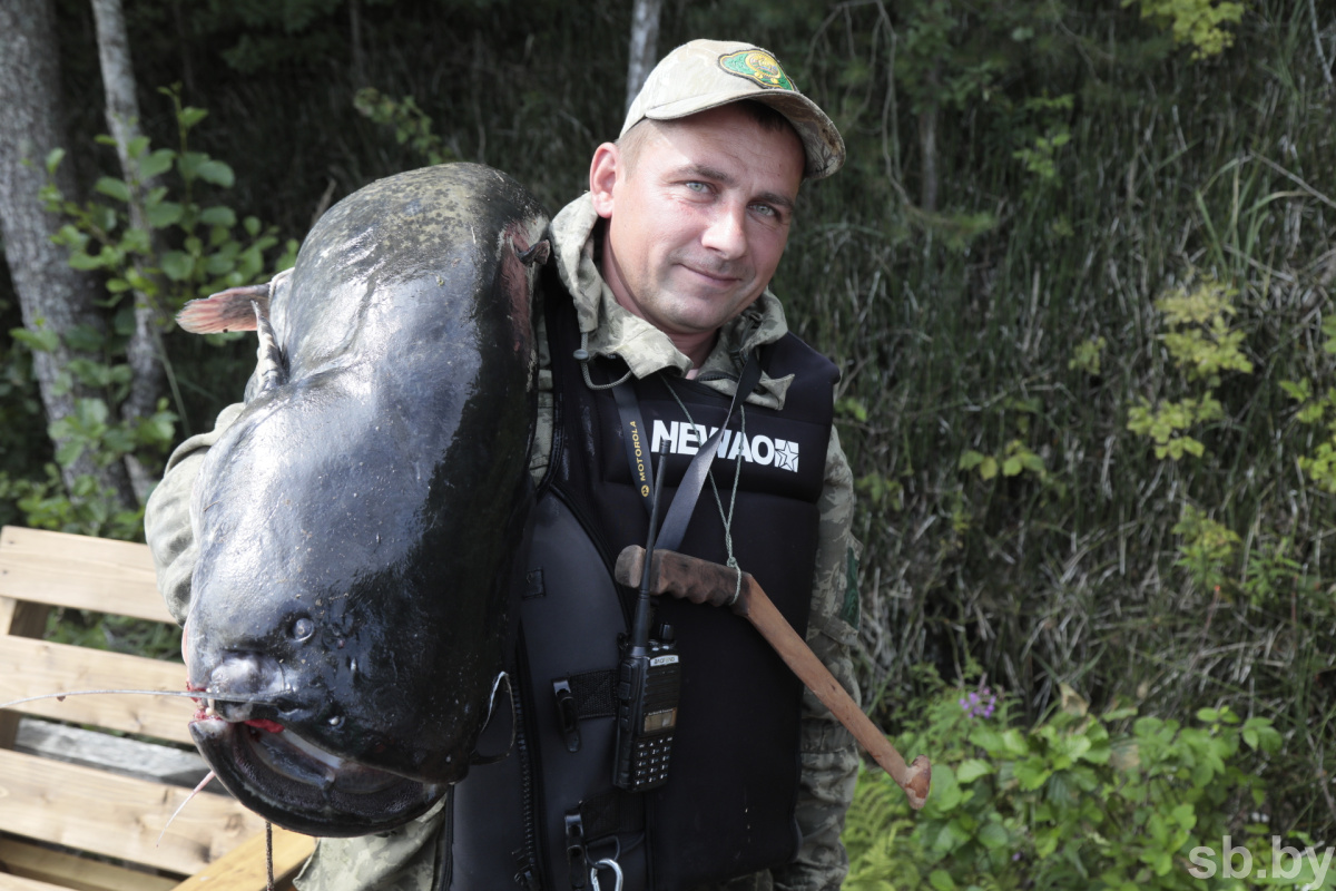 Победителем конкурса по рыбной ловле фестиваля «Большая бард-рыбалка» стал работник Бобруйского лесхоза Николай Шепетов
