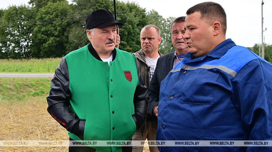Лукашенко вновь в полях, на этот раз на востоке. Главная тема —безотвальная обработка почвы