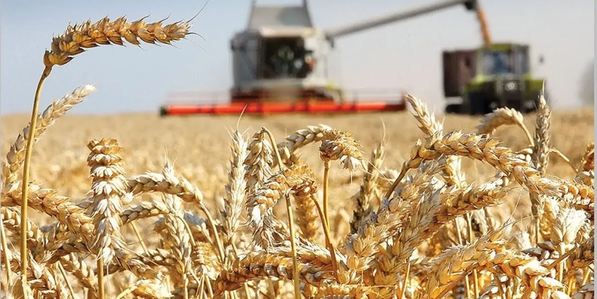 434 тыс. тонн превысил вес хлебного каравая в Могилевской области
