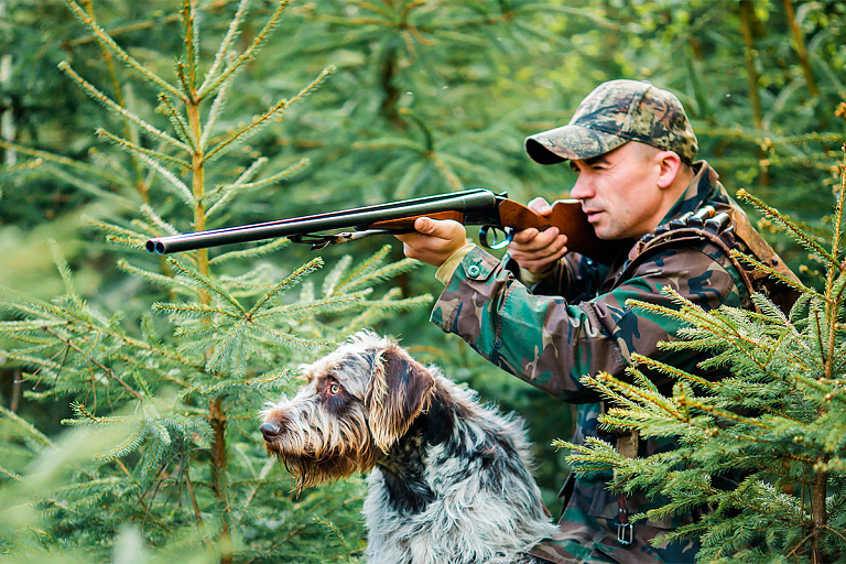 Сезон охоты на пернатых открывается в Беларуси 12 августа