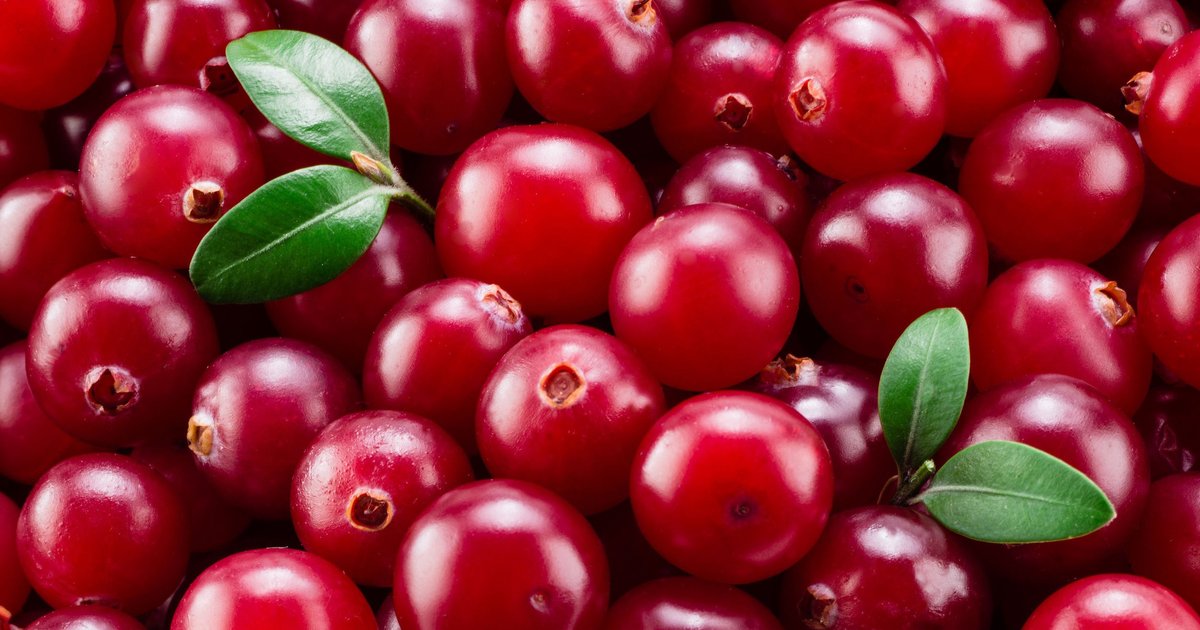 “Белгоспищепром”: около 45 видов плодово-ягодного и овощного сырья закупаем у наших производителей