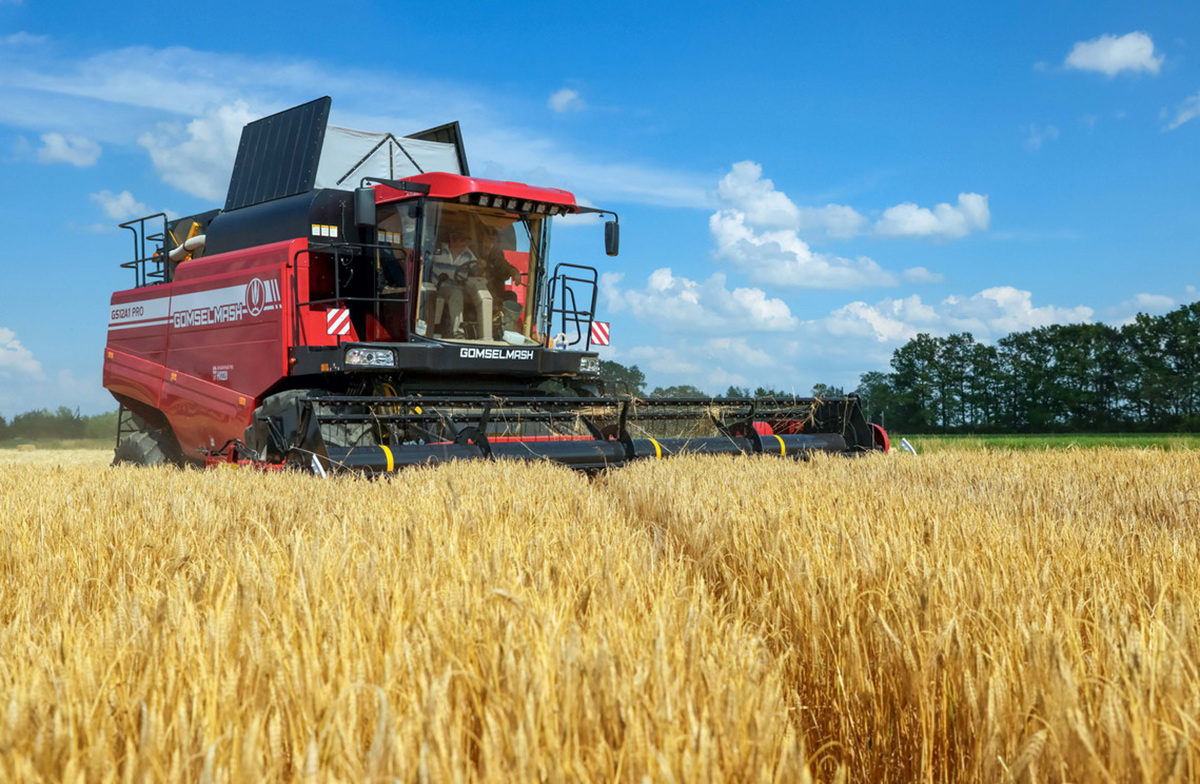 В Беларуси намолочено почти 7,1 млн тонн зерна с учетом рапса