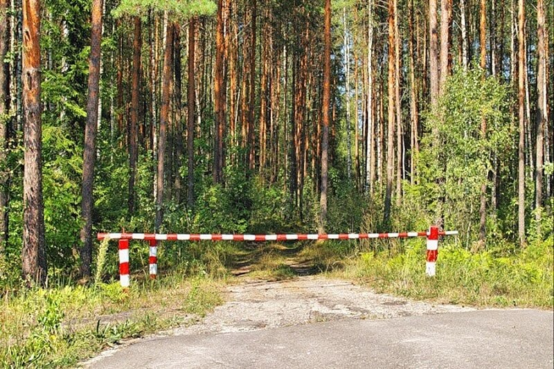 В Бобруйском районе снова введено ограничение на посещение лесного фонда