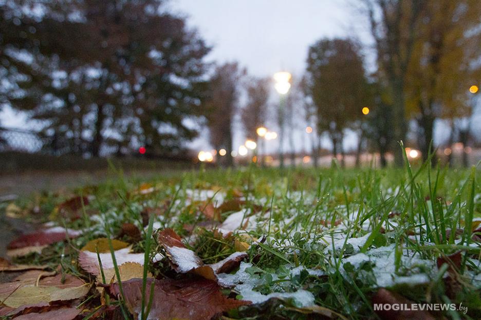 Ночные заморозки, возможен мокрый снег и не выше +12°С днем прогнозируется на начало следующей недели в Могилевской области