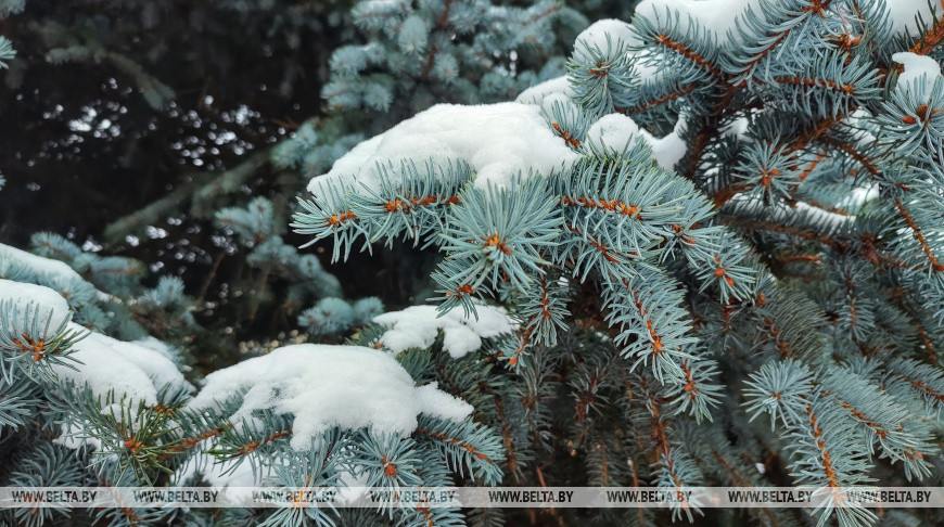 Сильный снег и до -6°С ожидается сегодня в Беларуси